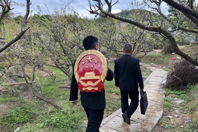 果園里的巡回審判