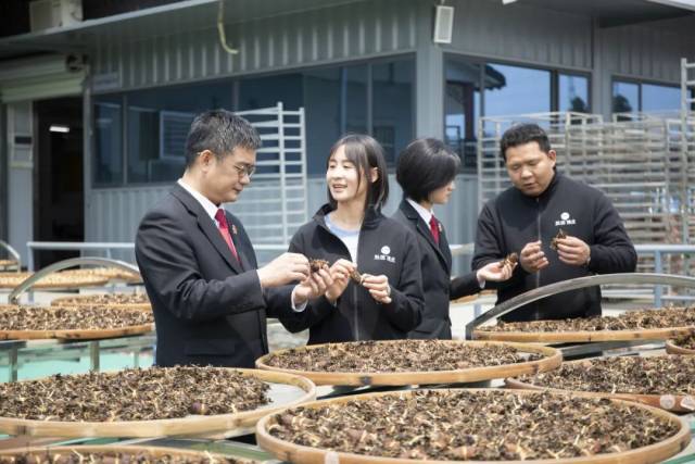 法官走訪陳皮企業(yè)聽取司法需求